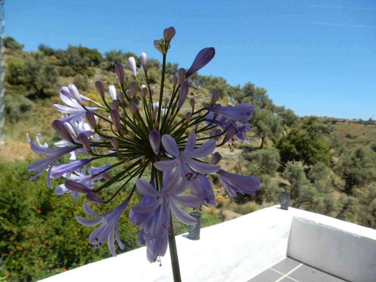 Bed And Breakfast Lagabella Sedella Dış mekan fotoğraf