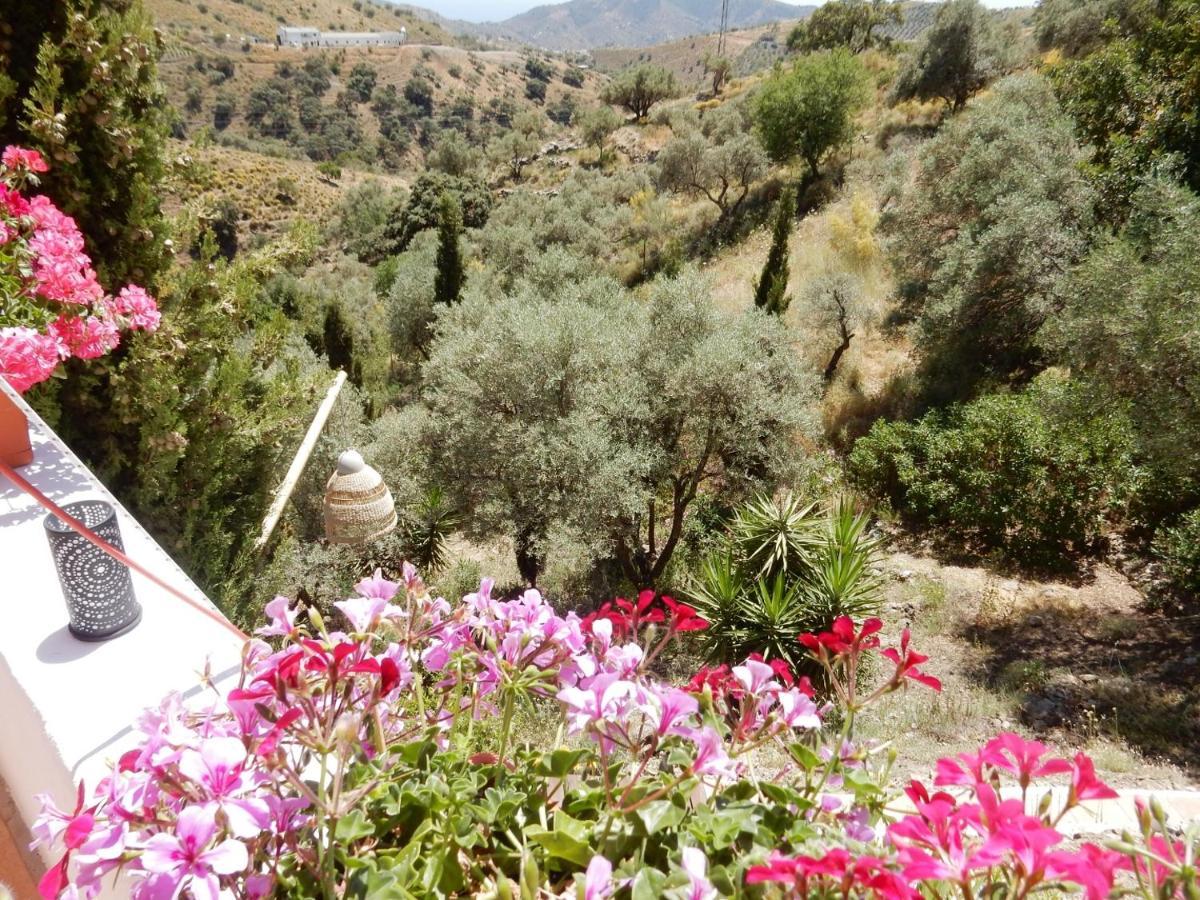 Bed And Breakfast Lagabella Sedella Dış mekan fotoğraf
