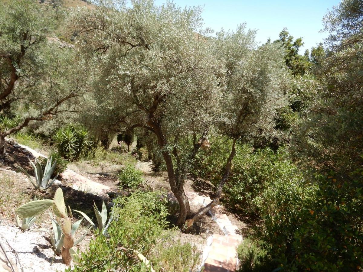 Bed And Breakfast Lagabella Sedella Dış mekan fotoğraf