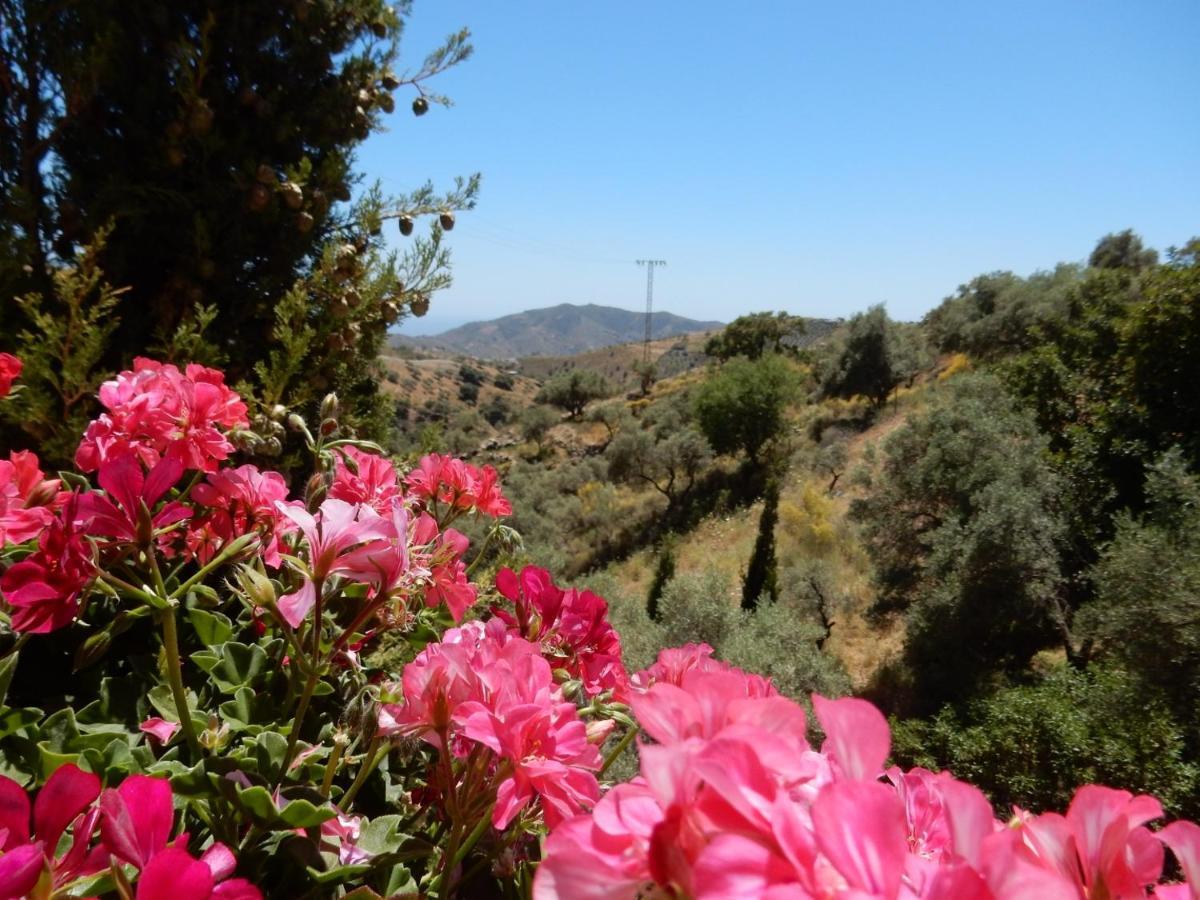 Bed And Breakfast Lagabella Sedella Dış mekan fotoğraf