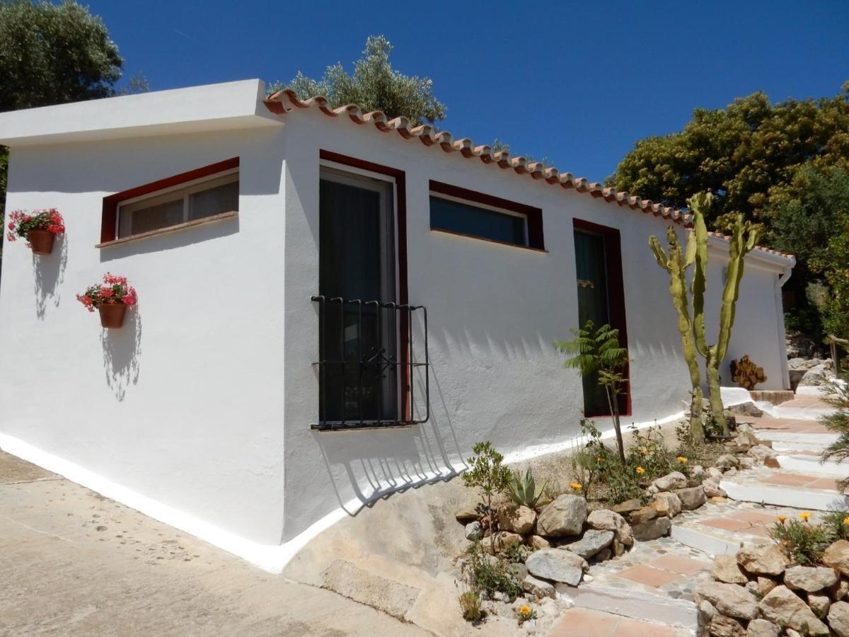 Bed And Breakfast Lagabella Sedella Dış mekan fotoğraf