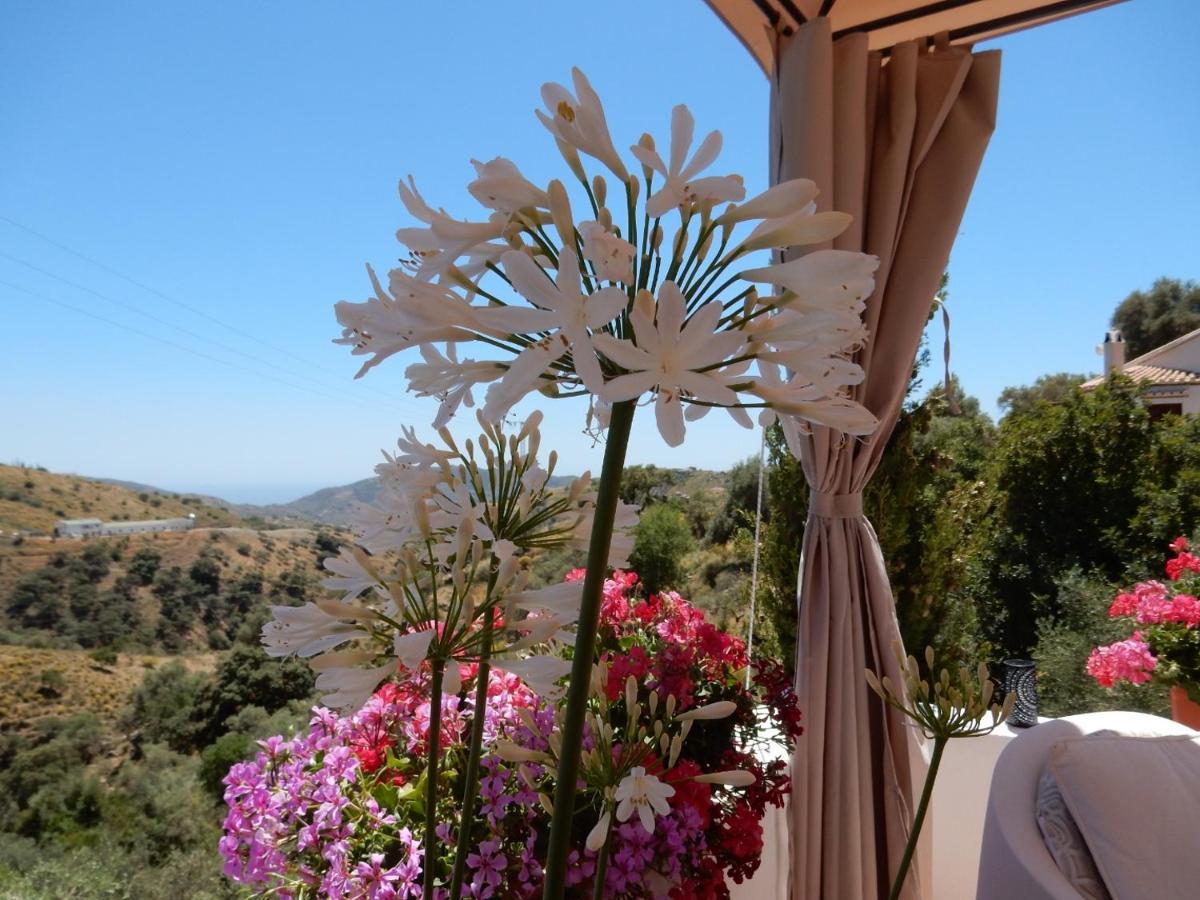 Bed And Breakfast Lagabella Sedella Dış mekan fotoğraf