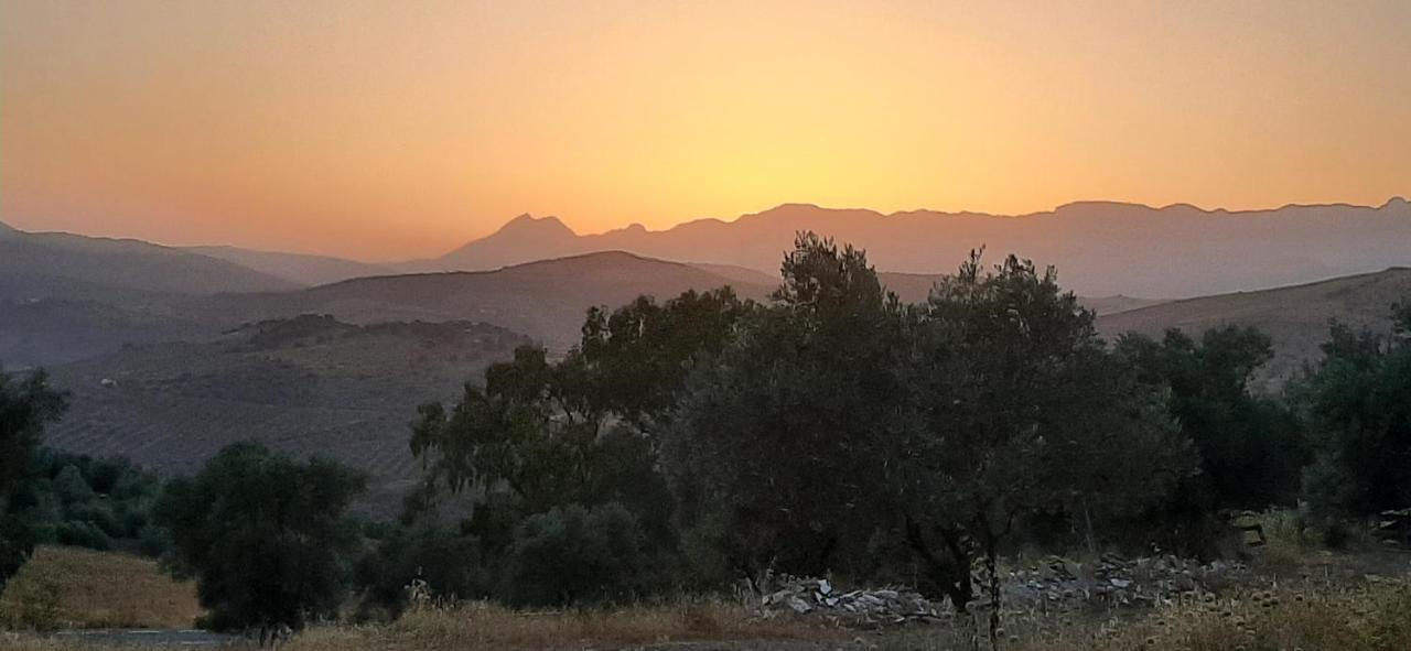 Bed And Breakfast Lagabella Sedella Dış mekan fotoğraf